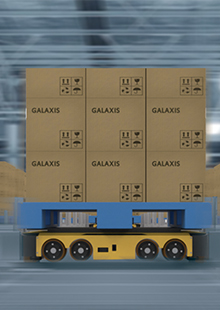 Pallet MSR